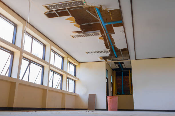 Best Mold removal after water damage  in Eaton Estates, OH