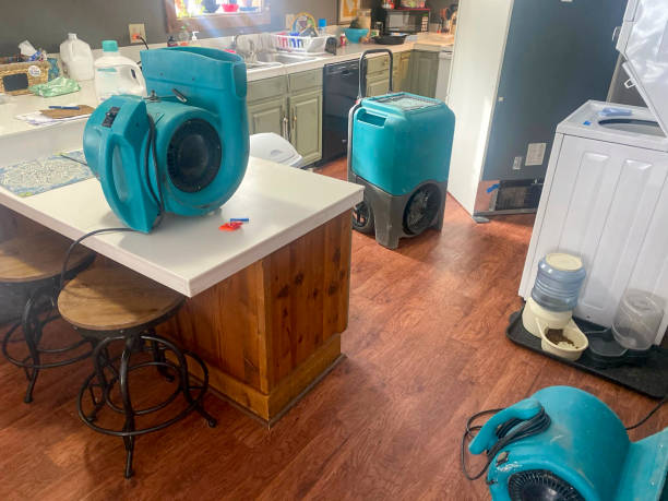 Best 24-hour water damage restoration  in Eaton Estates, OH