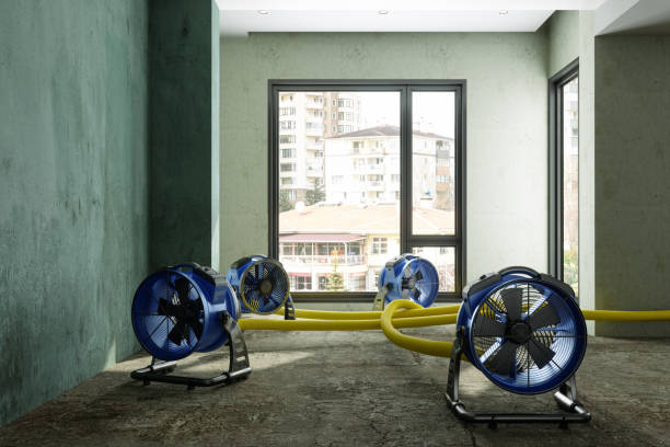 Best Water damage restoration company  in Eaton Estates, OH