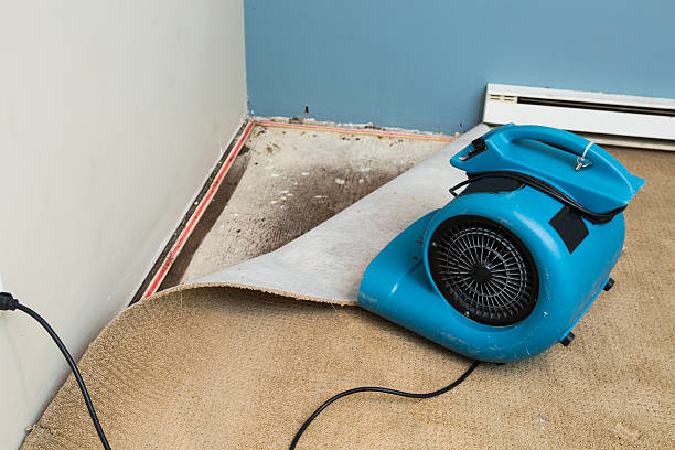Best Flood damage cleanup  in Eaton Estates, OH